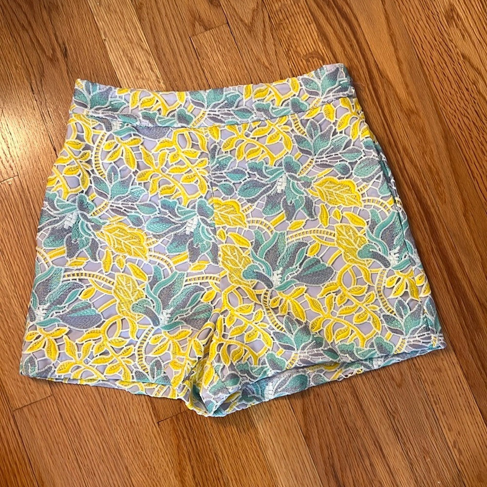 Hutch shorts from Anthropologie, back zip, size 8